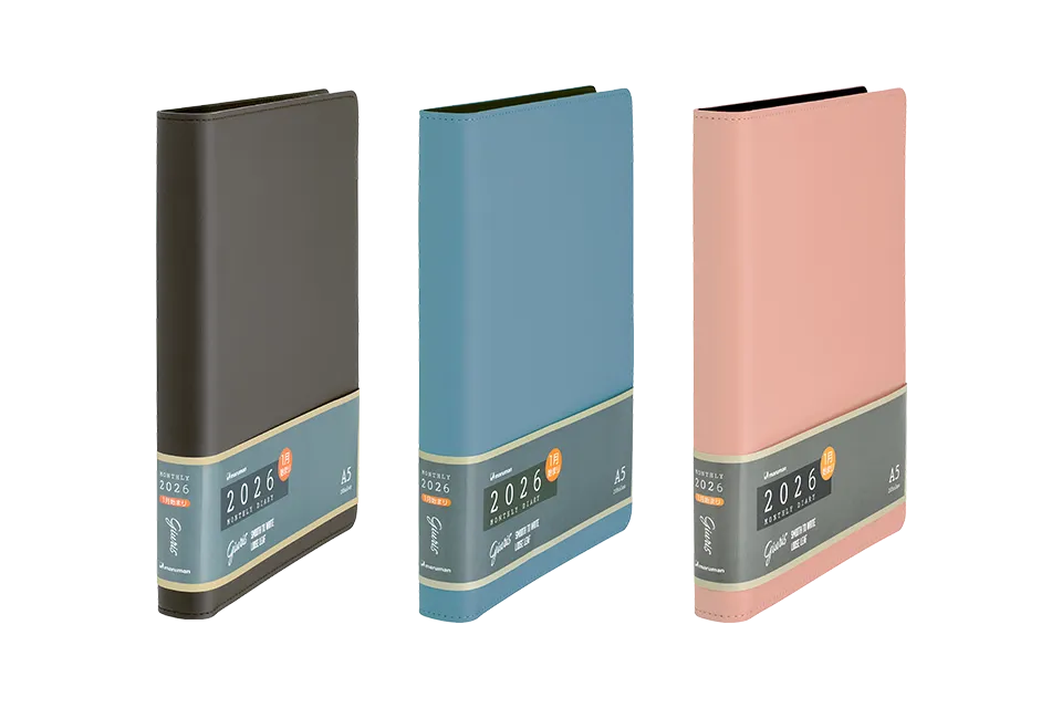 商品写真：ジウリスバインダー メタルバインダー F290
