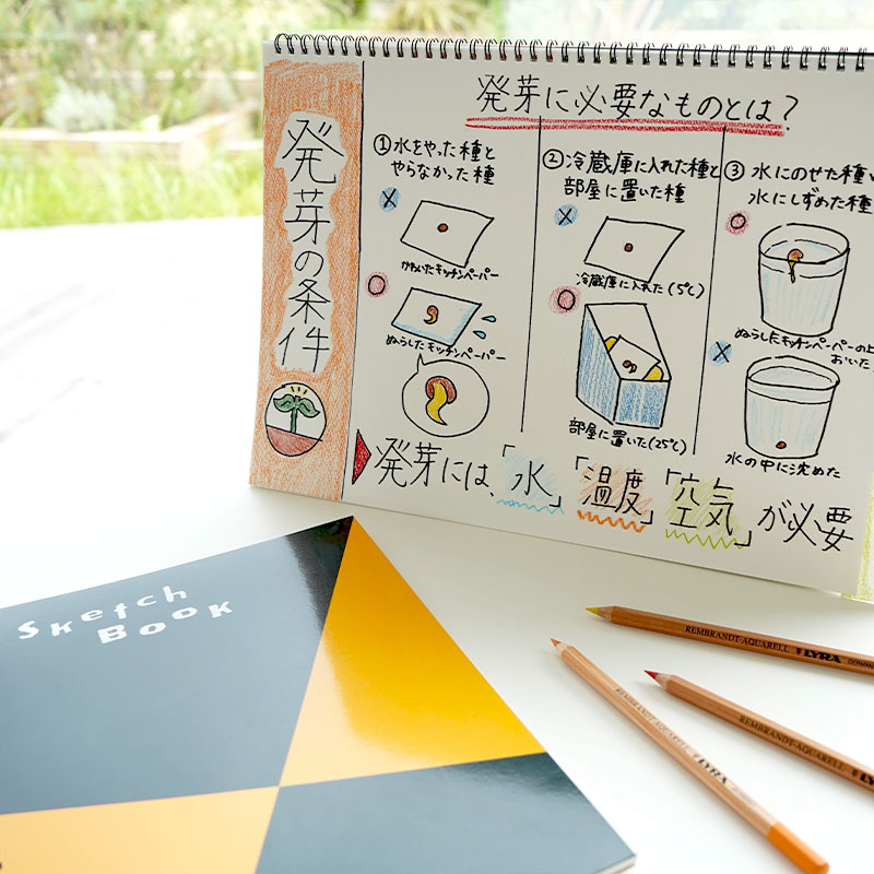 「自由研究のまとめ方」のコツを解説!スケッチブックなら伝わりやすい作品に 「自由研究のまとめ方」のコツを解説!スケッチブックなら伝わりやすい作品に